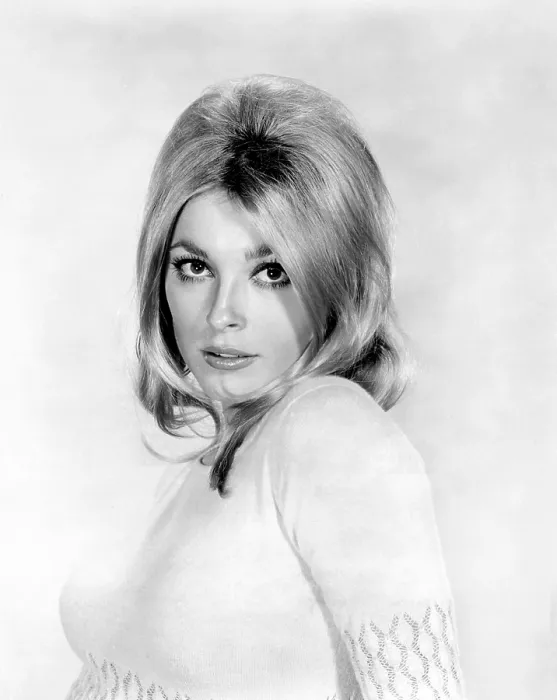 Framed Print : Sharon Tate, 1966