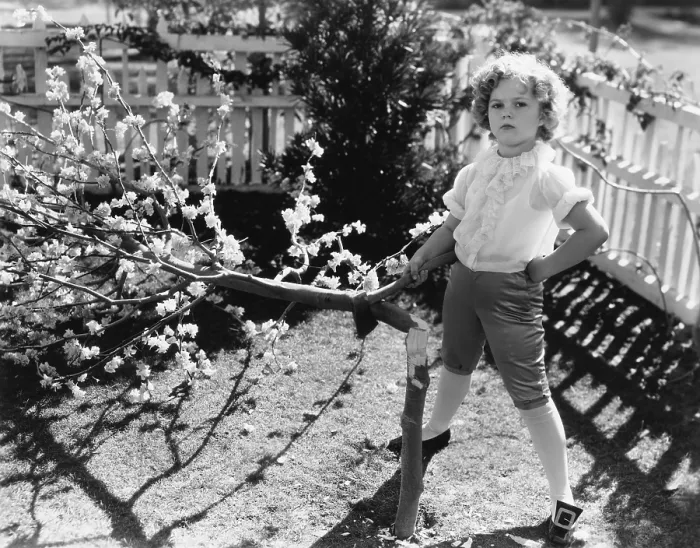 Framed Print : Shirley Temple, in George Washington mode, ca. 1935 Framed Print : Shirley Temple, in George Washington mode, ca. 1935