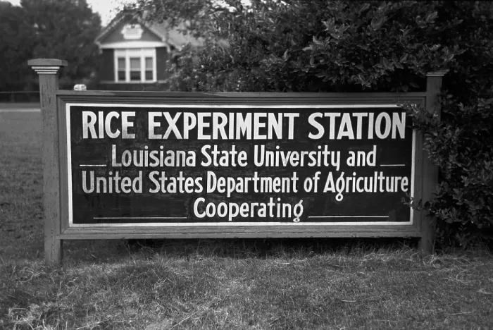 Framed Print : Sign of an experimentation station in Louisiana reads University of Louisiana and the Department of Agriculture Framed Print : Sign of an experimentation station in Louisiana reads University of Louisiana and the Department of Agriculture