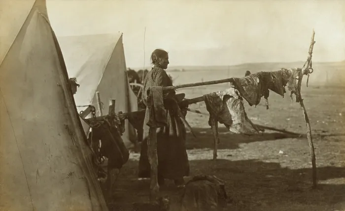 Framed Print : Sioux woman standing between two frames on which meat is being dried, 1908