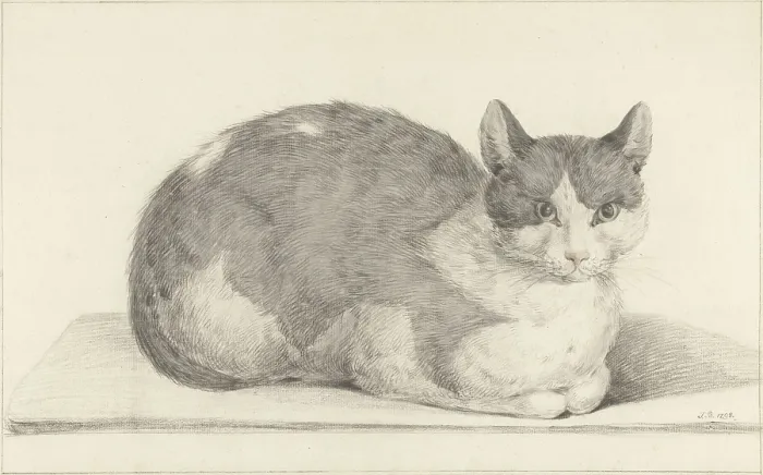 Framed Print : Sitting Cat, Facing Right, by Jean Bernard, 1798, Dutch chalk and pencil drawing. (BSLOC_2016_1_277)