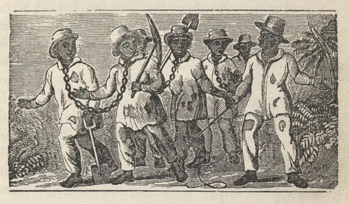 Framed Print : Slaves often travel in coffles, chained together for transport. At right is the slave driver, a fellow slave who was the foreman for the overseer
