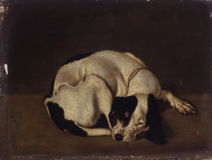 Framed Print : Sleeping Dog, after Arcangelo Resani, 18th Century, oil on board, 17 x 13 cm - Italy, Lombardy, Milan, Castello Sforzesco, Civic Collections of Ancient Art. Whole artwork view Framed Print : Sleeping Dog, after Arcangelo Resani, 18th Century, oil on board, 17 x 13 cm - Italy, Lombardy, Milan, Castello Sforzesco, Civic Collections of Ancient Art. Whole artwork view