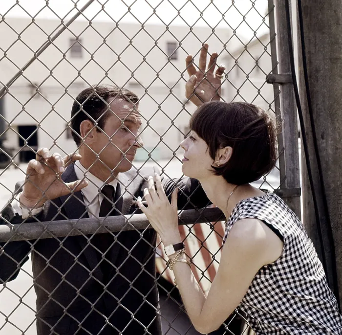 Framed Print : GET SMART, from left, Don Adams, Barbara Feldon, 1965-70