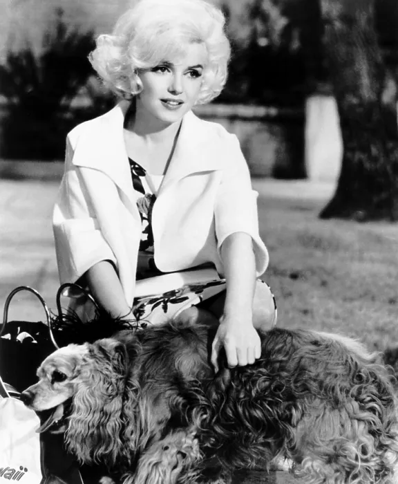 Framed Print : SOMETHING'S GOT TO GIVE, Marilyn Monroe, (with Jeff'), 1962, TM and Copyright 20th Century-Fox Film Corp. All Rights Reserved