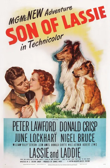 Framed Print : SON OF LASSIE, US poster art, Peter Lawford, June Lockhart, 1945 Framed Print : SON OF LASSIE, US poster art, Peter Lawford, June Lockhart, 1945