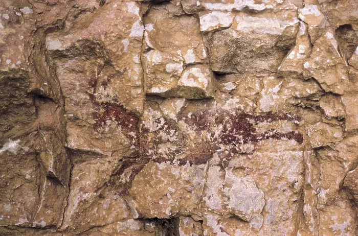Framed Print : SPAIN. Ares del Maestre. Remigia Cave. Rock paintings in Barranco de La Gasulla. Cingle de la Roca. Goat running. Mesolithic art. Cave. AISA / Everett Collection**US SALES ONLY**