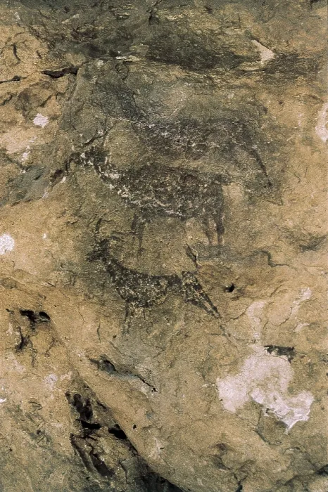 Framed Print : SPAIN. Bicorp. La Araa Cave. Deers and goats (8000-7000 BC). Mesolithic art. Cave. AISA / Everett Collection**US SALES ONLY** Framed Print : SPAIN. Bicorp. La Araa Cave. Deers and goats (8000-7000 BC). Mesolithic art. Cave. AISA / Everett Collection**US SALES ONLY**