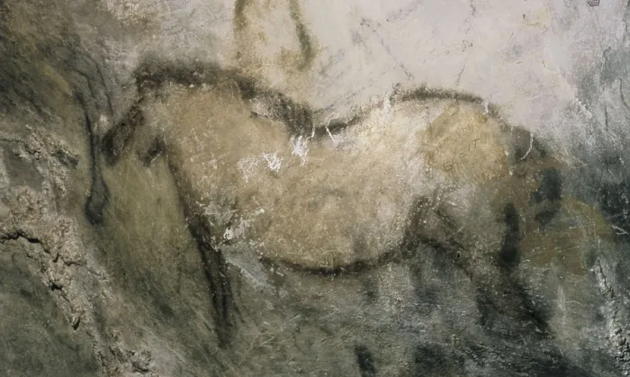 Framed Print : SPAIN. Candamo. San Romn de Candamo. San Roman Cave. Horse. Upper Paleolithic. Cave. AISA / Everett Collection**US SALES ONLY** Framed Print : SPAIN. Candamo. San Romn de Candamo. San Roman Cave. Horse. Upper Paleolithic. Cave. AISA / Everett Collection**US SALES ONLY**