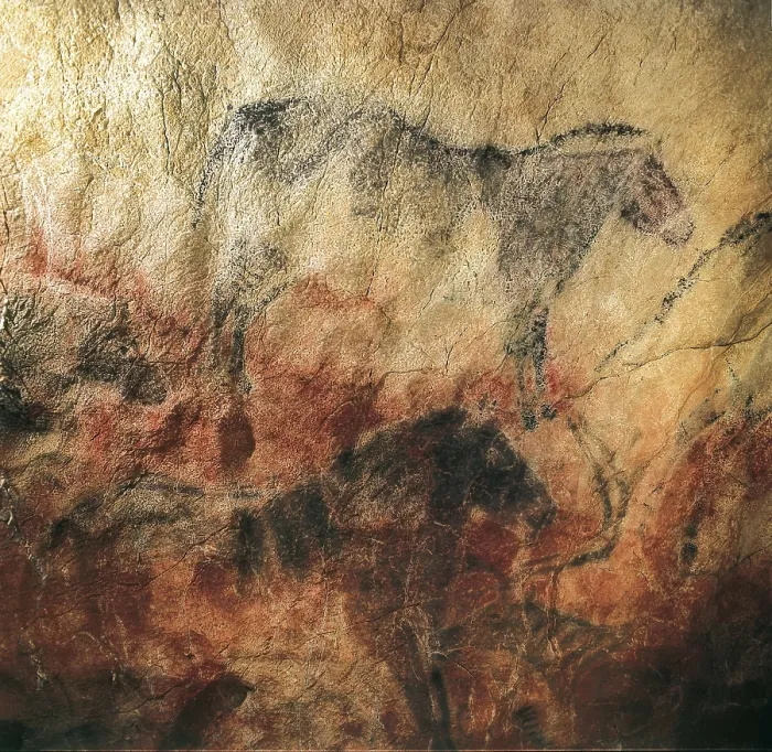 Framed Print : SPAIN. Ribadesella. Tito Bustillo Cave. Shaggy rhinoceros. Upper Paleolithic. Magdalenian. Cave. AISA / Everett Collection**US SALES ONLY**