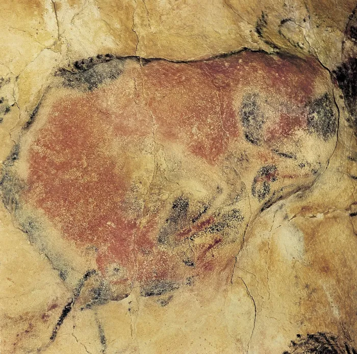 Framed Print : SPAIN. Santillana de Mar. Altamira Caves. Bison. Upper Paleolithic. Magdalenian. Cave. AISA / Everett Collection**US SALES ONLY** Framed Print : SPAIN. Santillana de Mar. Altamira Caves. Bison. Upper Paleolithic. Magdalenian. Cave. AISA / Everett Collection**US SALES ONLY**