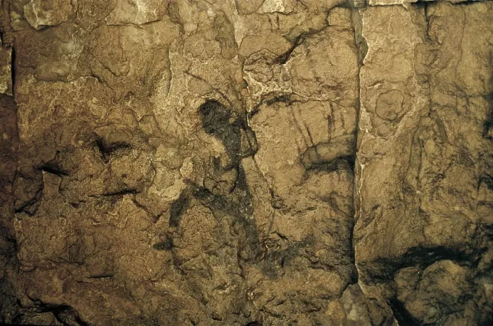 Framed Print : SPAIN. Vinrom. La Saltadora Cave. Archer (6500-5000 BC). Mesolithic art. Cave. AISA / Everett Collection**US SALES ONLY** Framed Print : SPAIN. Vinrom. La Saltadora Cave. Archer (6500-5000 BC). Mesolithic art. Cave. AISA / Everett Collection**US SALES ONLY**