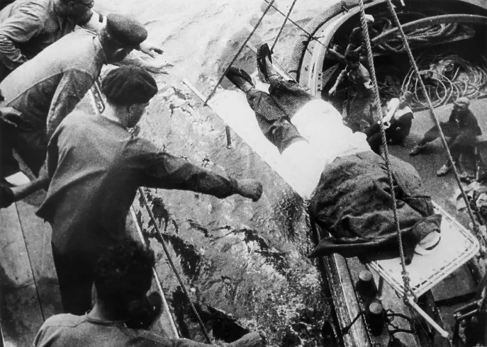 Framed Print : Spanish Civil War (1936-1939). Disembark of wounded men in Majorca. AISA / Everett Collection (95534)**US SALES ONLY** Framed Print : Spanish Civil War (1936-1939). Disembark of wounded men in Majorca. AISA / Everett Collection (95534)**US SALES ONLY**