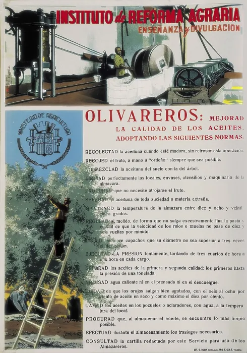Framed Print : Spanish Civil War (1936-1939). Poster of the Institute of the Agrarian Reform on the farming on olives. SPAIN. Salamanca. Archivo Histrico Nacional Framed Print : Spanish Civil War (1936-1939). Poster of the Institute of the Agrarian Reform on the farming on olives. SPAIN. Salamanca. Archivo Histrico Nacional