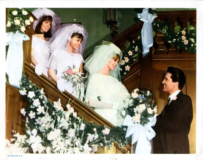 Framed Print : SPINOUT, (originally titled CALIFORNIA HOLIDAY), Shelley Fabares, Deborah Walley, Diane McBain, Elvis Presley, 1966 Framed Print : SPINOUT, (originally titled CALIFORNIA HOLIDAY), Shelley Fabares, Deborah Walley, Diane McBain, Elvis Presley, 1966