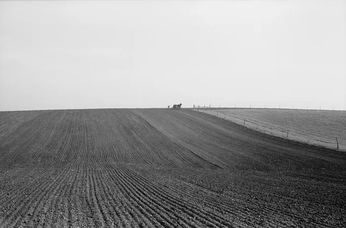 Framed Print : Spring corn planting in Jasper County, Iowa. The horse drawn seed drill is visible on the horizon