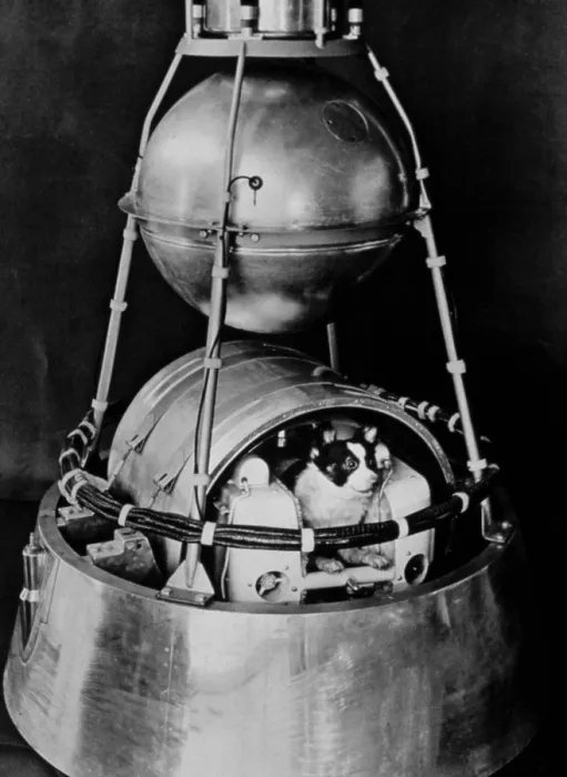 Framed Print : SPUTNIK II, launched by Russia in 1957, with dog inside.. Courtesy: CSU Archives  /  Everett Collection