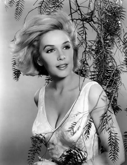 Framed Print : Stella Stevens, MGM portrait, circa 1963
