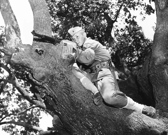 Framed Print : Stephen P. Hopkins, son of Harry Hopkins, in basic training at Parris Island. He is in a tree with his M-1 rifle. Aug. 1943. He was killed in action on Feb Framed Print : Stephen P. Hopkins, son of Harry Hopkins, in basic training at Parris Island. He is in a tree with his M-1 rifle. Aug. 1943. He was killed in action on Feb