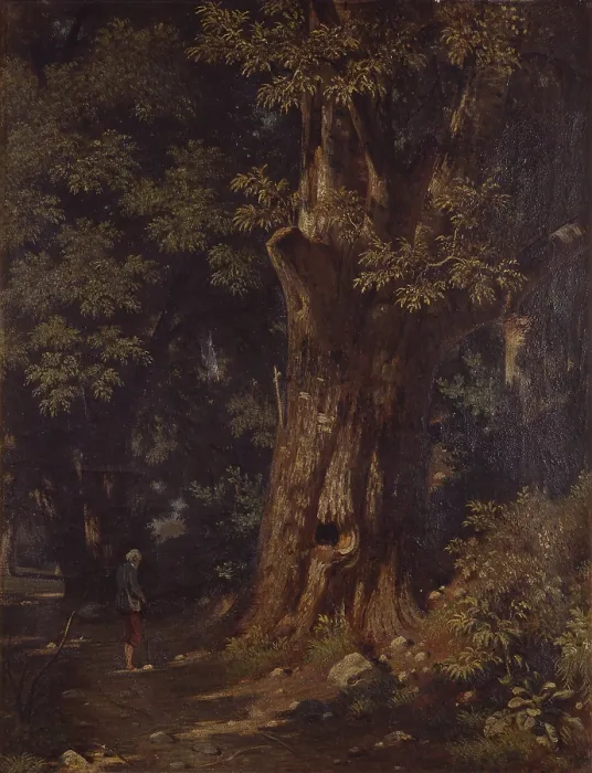 Framed Print : Studies of Chestnuts (Studi di castagni), by Fabio Villa, 19th Century, oil on canvas, 75 x 52 cm - Italy, Lombardy, Milan, Brera Academy. Whole artwork view