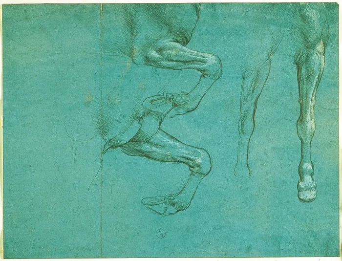 Framed Print : Studies of horse front legs, by Leonardo da Vinci, 15th Century, 1490 about, metal tip and highlights of white lead on blue prepared paper, mm 154 x 205 - Italy, Piemonte, Turin
