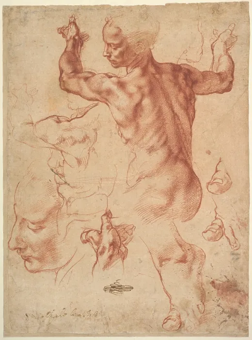 Framed Print : STUDIES FOR THE LIBYAN SIBYL, by Michelangelo, 1510-11, Italian Renaissance chalk drawing