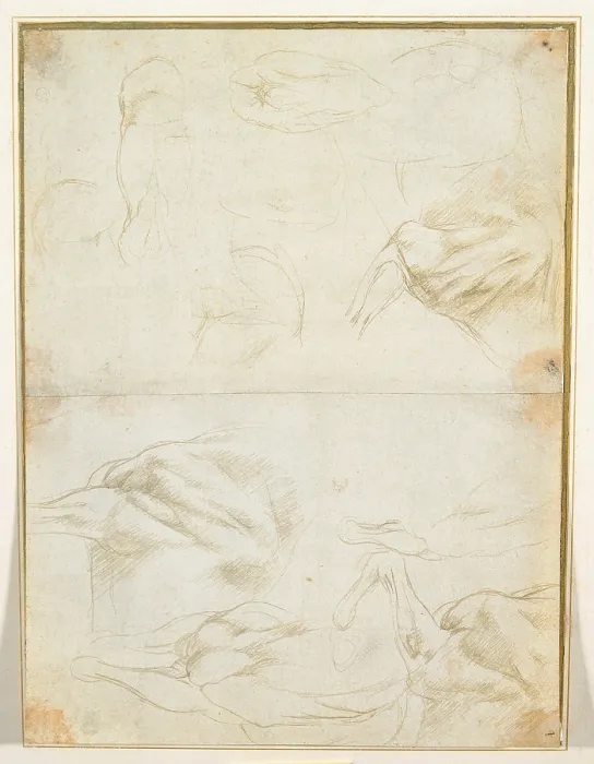 Framed Print : Studies of the muscles of the horse forelimbs, by Leonardo da Vinci, 15th Century, 1480 about, metal point on prepared paper light green, mm 217 x 287 - Italy, Piemonte, Turin