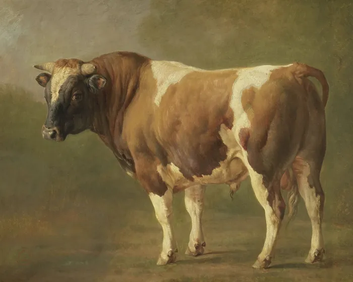 Framed Print : Study of a Bull, Jacques Raymond Brascassat, 1830-67, French painting, oil on canvas (BSLOC_2016_2_174) Framed Print : Study of a Bull, Jacques Raymond Brascassat, 1830-67, French painting, oil on canvas (BSLOC_2016_2_174)