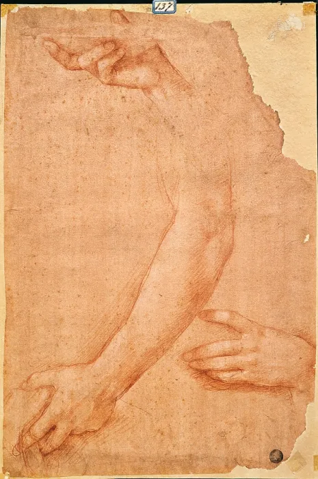 Framed Print : Study of Hands and Arms, by Cesare da Sesto, 16th Century, 1508 -1510 about, sanguine on red prepared paper, cm 39 x 26 - Italy, Veneto, Venice, Accademia Art Galleries, cat. n Framed Print : Study of Hands and Arms, by Cesare da Sesto, 16th Century, 1508 -1510 about, sanguine on red prepared paper, cm 39 x 26 - Italy, Veneto, Venice, Accademia Art Galleries, cat. n
