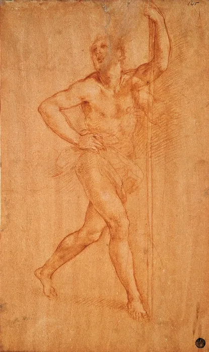 Framed Print : Study for St Christopher, by Cesare da Sesto, 16th Century, 1520 -1523 about, sanguine on red prepared paper, cm 39, 5 x 23, 8 - Italy, Veneto, Venice, Accademia Art Galleries, cat
