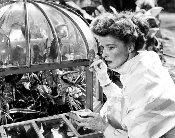 Framed Print : SUDDENLY LAST SUMMER, Katharine Hepburn, 1959
