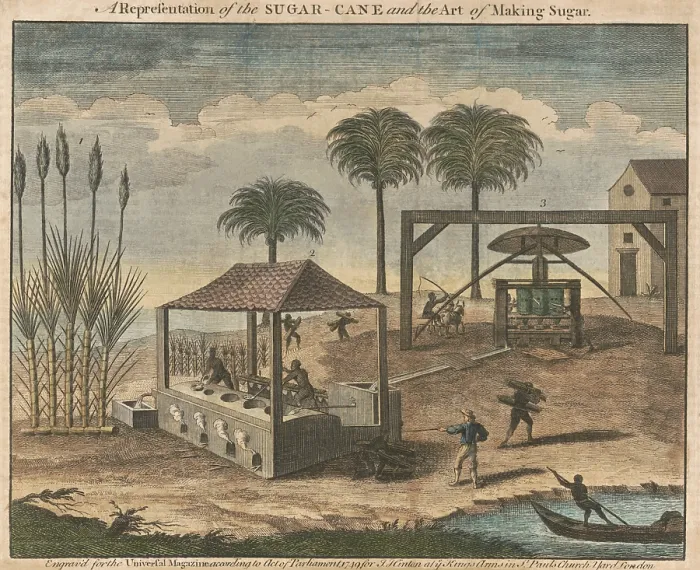 Framed Print : Sugarcane processing in the West Indies, possibly Haiti, where a white overseer directs the work of enslaved African Americans in 1749 engraving
