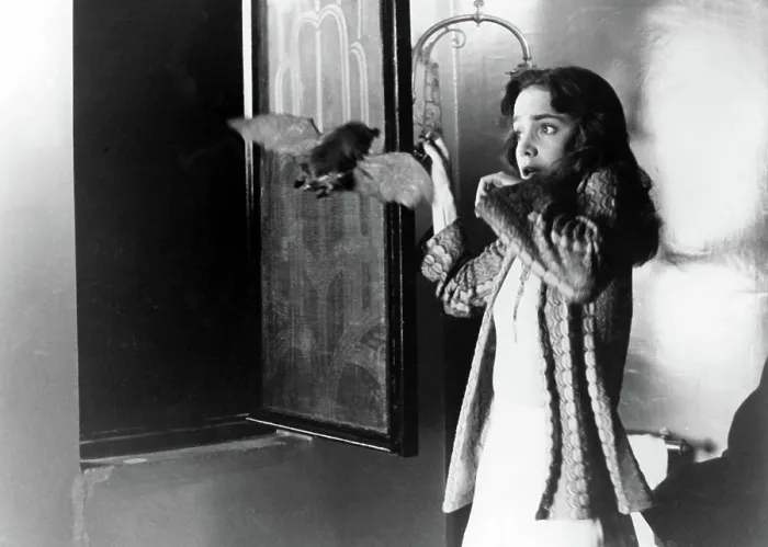Framed Print : SUSPIRIA, Jessica Harper, 1977. TM and Copyright 20th Century Fox Film Corp. All rights reserved. Courtesy: Everett Collection