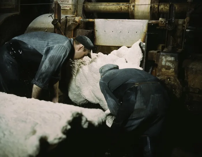 Framed Print : Synthetic rubber coming off the rolling mill in which the crumbs of rubber are squeezed dry of excess water