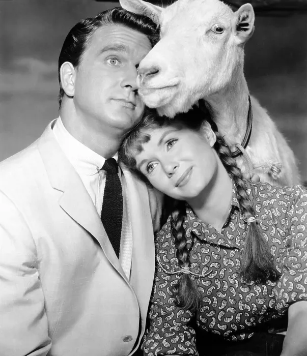 Framed Print : TAMMY AND THE BACHELOR, Leslie Nielsen, Debbie Reynolds, 1957