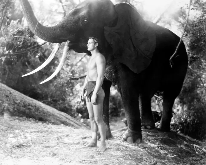Framed Print : TARZAN ESCAPES, Johnny Weissmuller, 1936