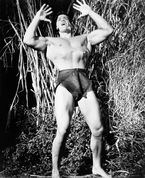 Framed Print : TARZAN'S FIGHT FOR LIFE, Gordon Scott, 1958
