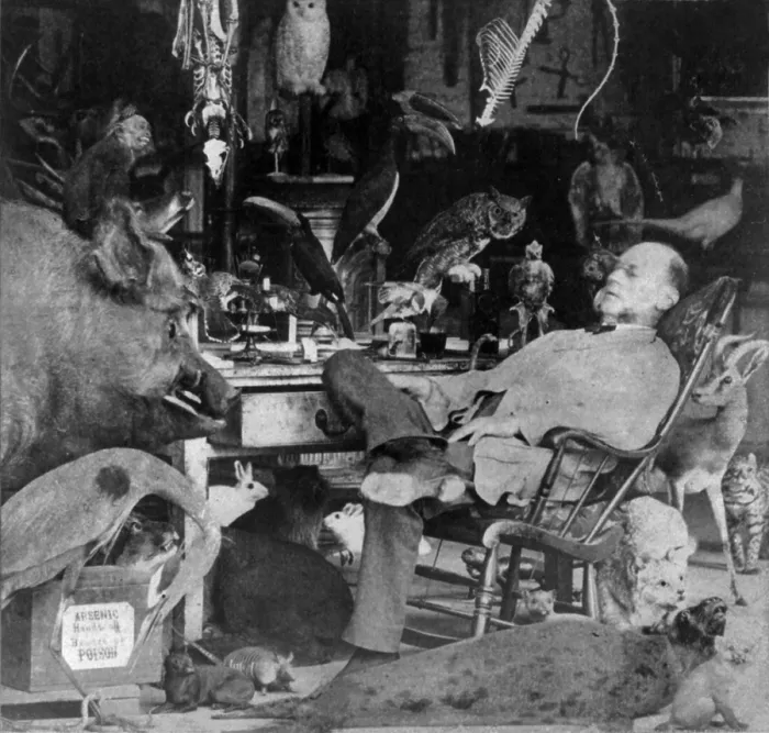 Framed Print : Taxidermy, mounted animals, taxidermist in chair with eyes closed in room full of mounted animals and birds, photograph by Eugene S. M. Haines, 1870