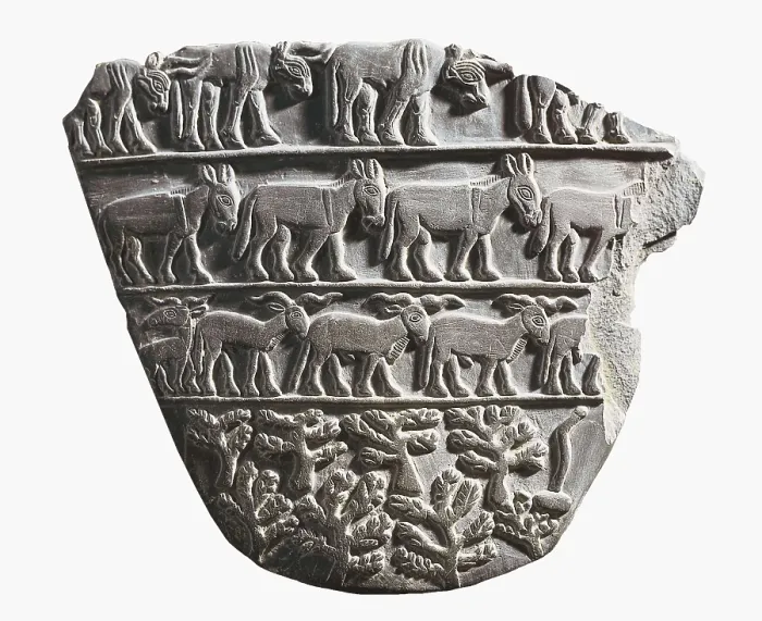 Framed Print : Tehenu Palette. 33rd c. BC. Obverse. Egyptian art. Relief on rock. EGYPT. Cairo. Egyptian Museum. Proc: EGYPT. Abydos. AISA / Everett Collection**US SALES ONLY** Framed Print : Tehenu Palette. 33rd c. BC. Obverse. Egyptian art. Relief on rock. EGYPT. Cairo. Egyptian Museum. Proc: EGYPT. Abydos. AISA / Everett Collection**US SALES ONLY**