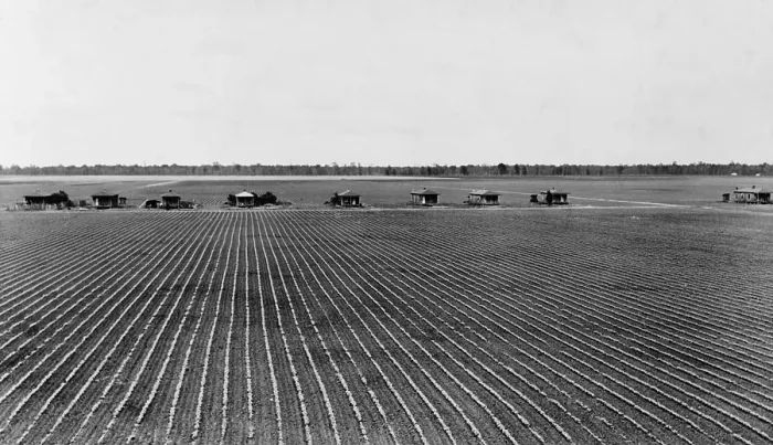 Framed Print : Tenant farmer's houses on a cotton plantation in Rolling Fork, Mississippi, May 1940. The small homes have out-houses and no utility connections. (BSLOC_2015_17_237)