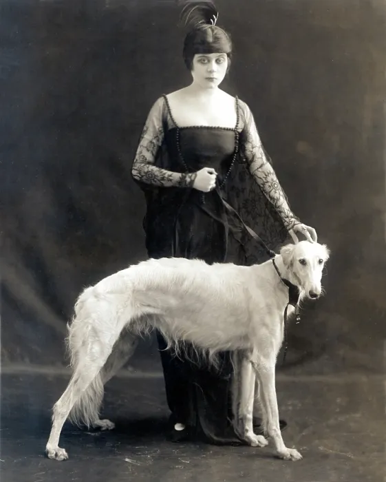Framed Print : Theda Bara with her Russian wolfhound, Belva, 1916