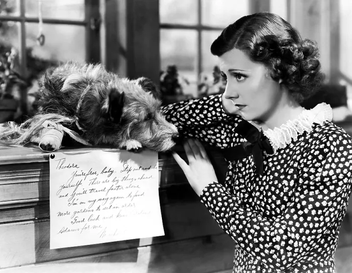 Framed Print : THEODORA GOES WILD, Irene Dunne, 1936 Framed Print : THEODORA GOES WILD, Irene Dunne, 1936