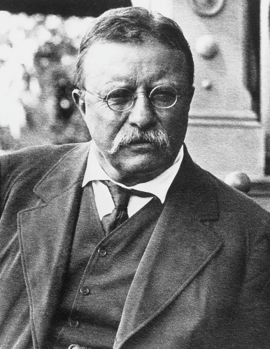 Framed Print : Theodore Roosevelt, (1858-1919), U.S. President 1901-1909, circa 1900's. Courtesy: CSU Archives / Everett Collection