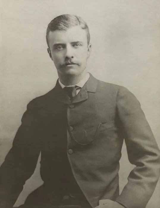 Framed Print : Theodore Roosevelt as an assemblyman from New York County, 21st District in 1882 (BSLOC_2017_4_3)
