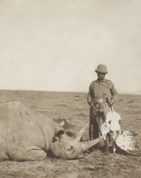 Framed Print : Theodore Roosevelt holding a dead bustard and standing next to a dead rhinoceros. Aug.-Dec. 1909 during the Smithsonian-Roosevelt African Expedition (BSLOC_2017_8_8)