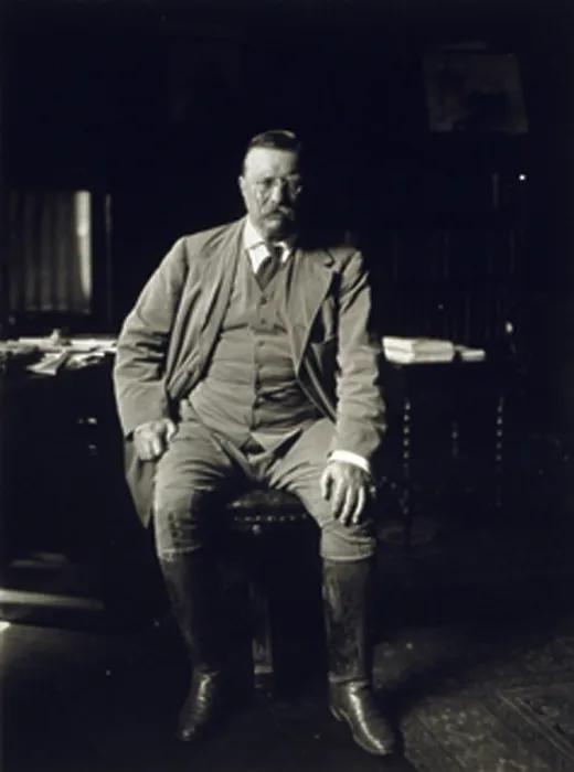 Framed Print : Theodore Roosevelt in his library at Oyster Bay N.Y in 1912, the year he would challenge his successor, William Taft, for the Republican presidential nomination