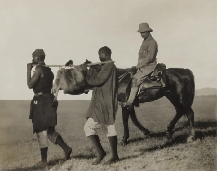 Framed Print : Theodore Roosevelt rides beside African porters carrying an lion skin back to camp, June-Dec. 1909. It was collected for the Smithsonians Natural History Museum (BSLOC_2017_8_7)