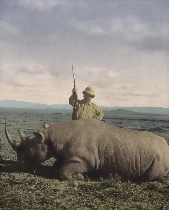 Framed Print : Theodore Roosevelt triumphant after killing a big bull rhino in Africa in 1909 Framed Print : Theodore Roosevelt triumphant after killing a big bull rhino in Africa in 1909