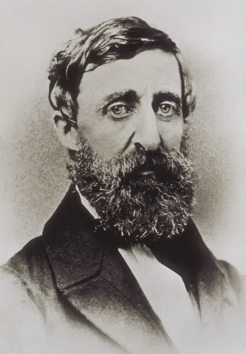 Framed Print : THOREAU, Henry David (1817-1862). Photo by Geo. F. Parlow. UNITED STATES OF AMERICA. Washington. Library of Congress. AISA / Everett Collection**US SALES ONLY**