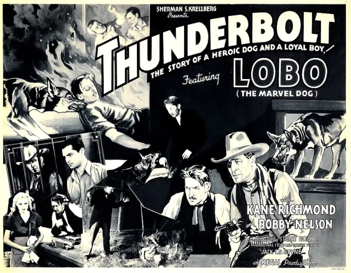 Framed Print : THUNDERBOLT, top left and bottom far right: Lobo the Marvel Dog, 1935